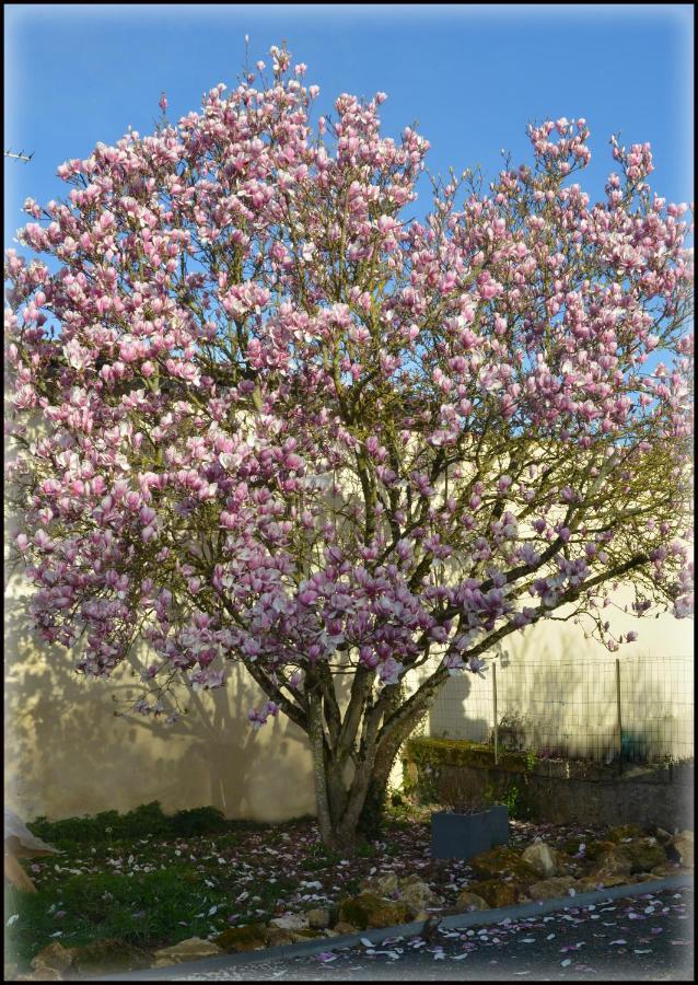 Gites Jardin-Darcy - Piscine Au Sel Bois Exterior foto