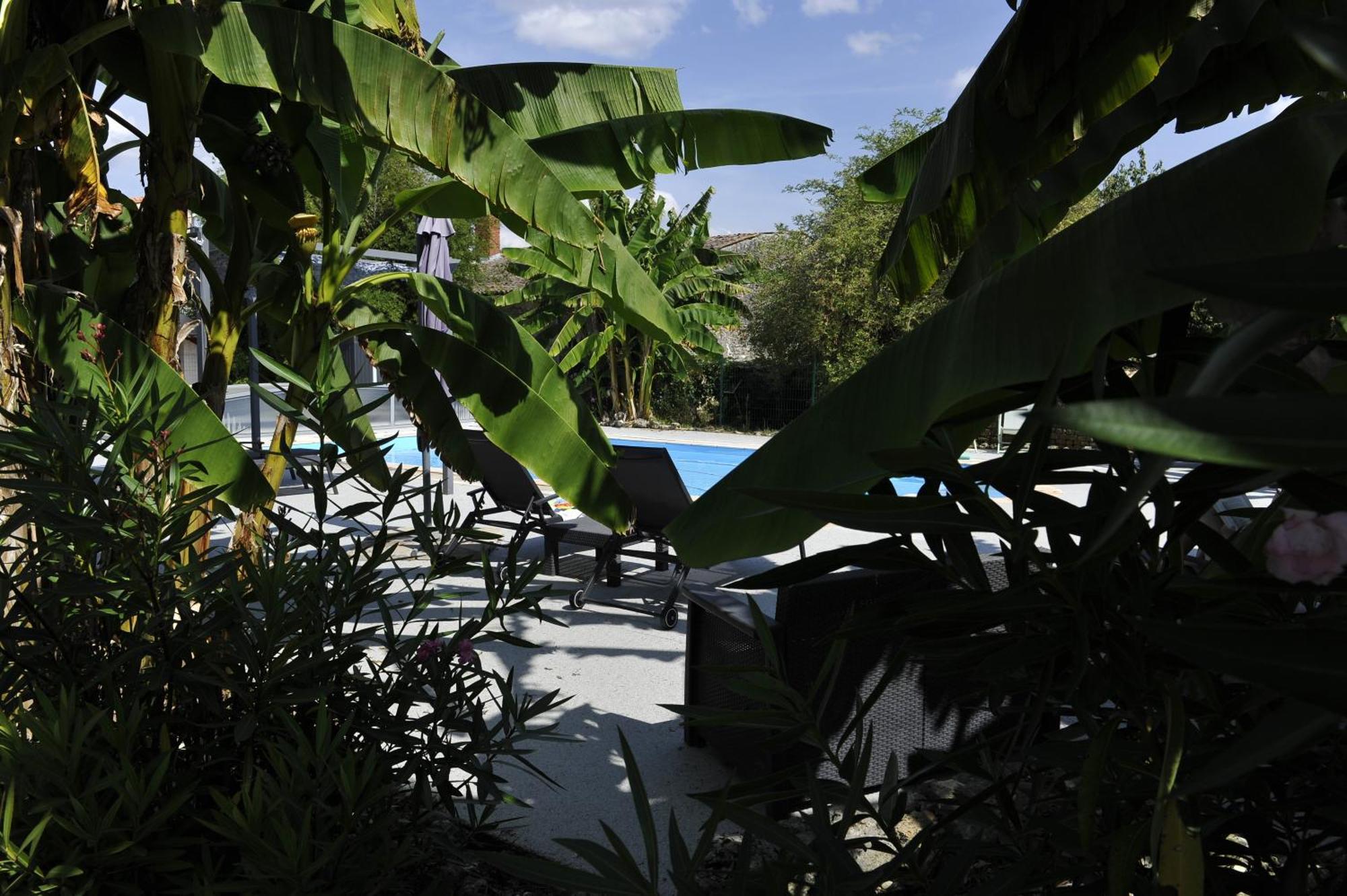 Gites Jardin-Darcy - Piscine Au Sel Bois Exterior foto